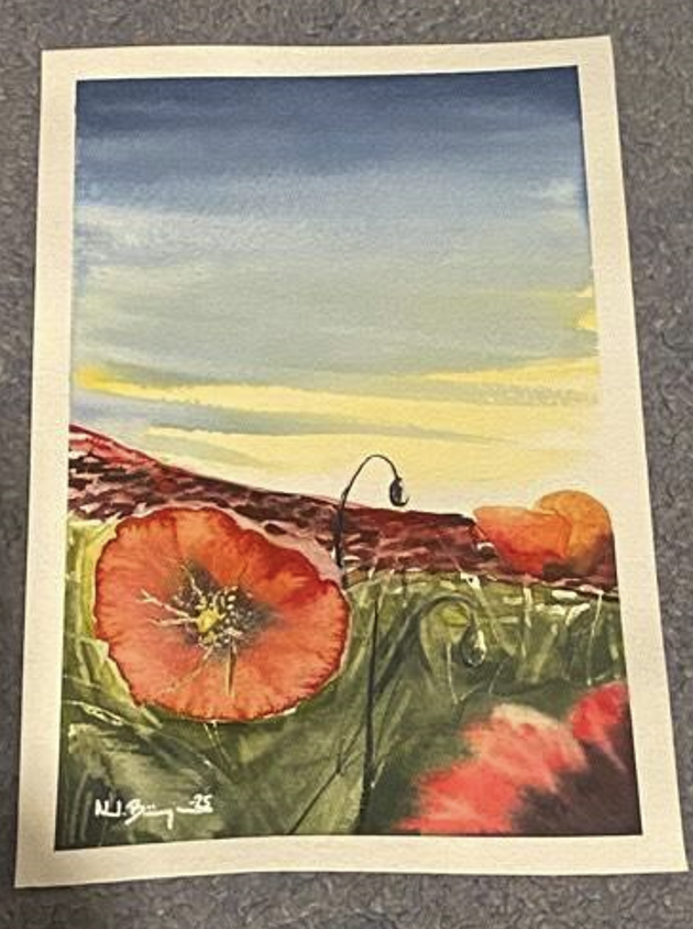 Vallmor by "ArtByNoahB"